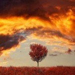 david-keochkerian-2