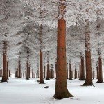 landscape-photography-11