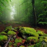 landscape-photography-12