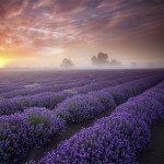 landscape-photography-15