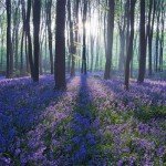 landscape-photography-16