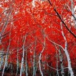 landscape-photography-24