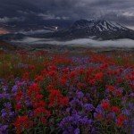 landscape-photography-31