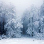 landscape-photography-34
