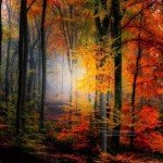 landscape-photography-45