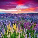 landscape-photography-48