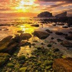 ocean-1084174_960_720